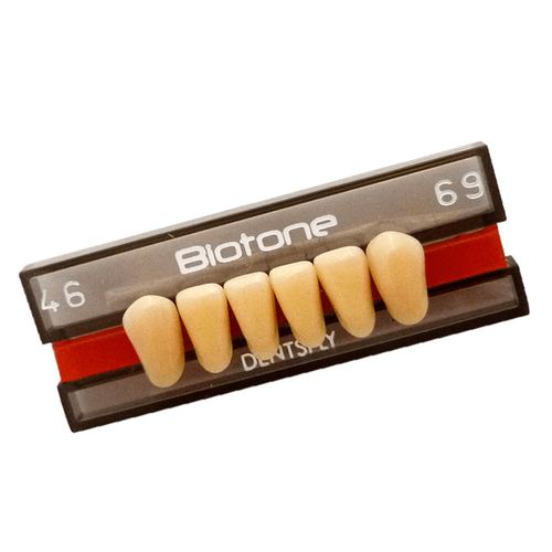 Dente Biotone Anterior Inferior - Dentsply