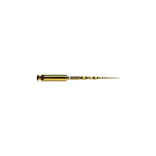 Lima Rotátoria Protaper Ultimate SX 19mm - Dentsply Sirona