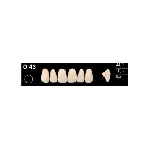 Dente Acrílico Anterior Superior Delara - Kulzer