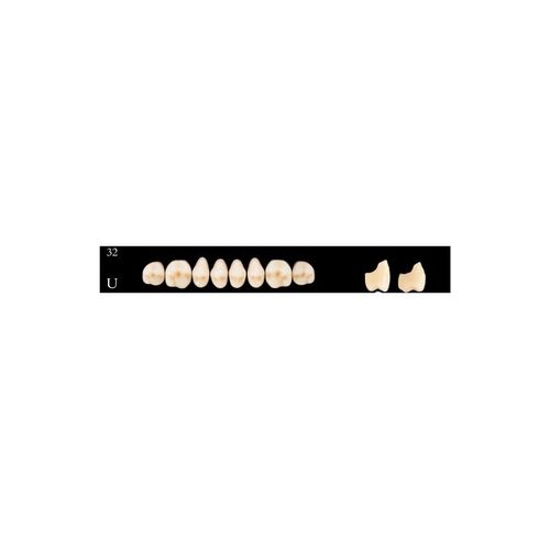 Dente Posterior Superior Delara - Kulzer