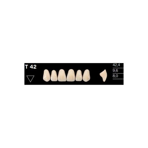 Dente Delara Superior - Kulzer