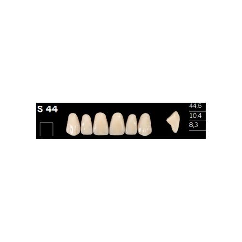 Dente Delara Acrílico Superior Anterior - Kulzer
