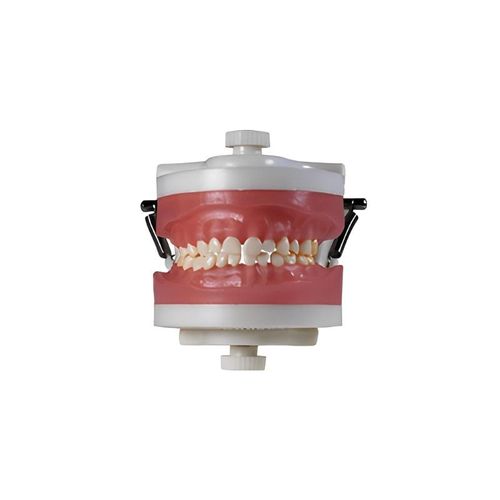 Manequim de Odontopediatria PD114 - Pronew