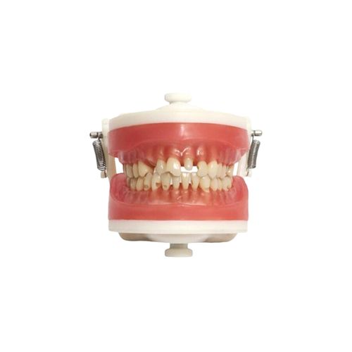 Manequim Top Materiais PD101 - Pronew