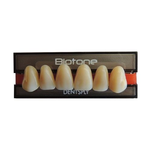 Dente Biotone Anterior Superior - Dentsply