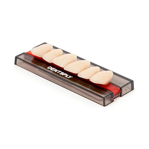 Dente Biotone Anterior Superior - Dentsply