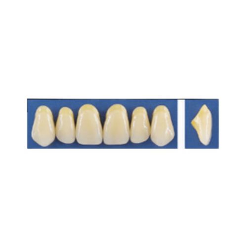 Dente Trilux Anterior Superior R17 - VIPI