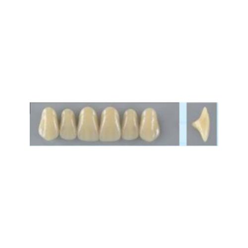 Dente Vipi Dent Plus Anterior Superior - VIPI
