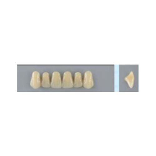 Dente Vipi Dent Plus Anterior Superior - VIPI