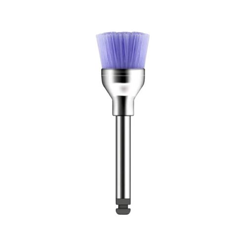 Escova de Robinson Color-Brush CA - American Burrs