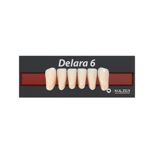 Dente Anterior Inferior Delara L33 -  Kulzer