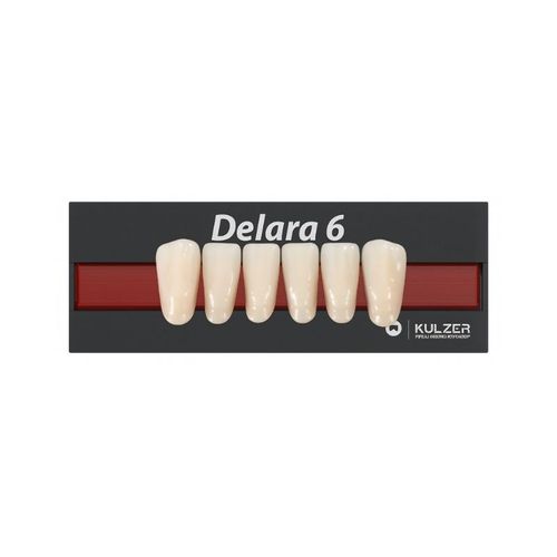 Dente Anterior Inferior Delara L35 - Kulzer
