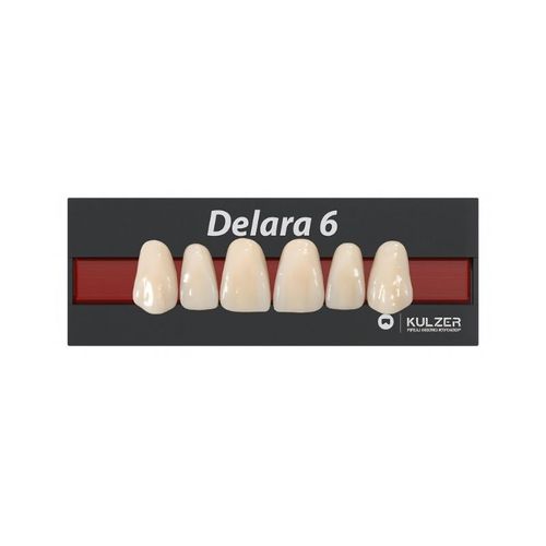 Dente Anterior Superior Delara S48 - Kulzer