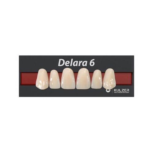 Dente Anterior Superior Delara S50 - Kulzer