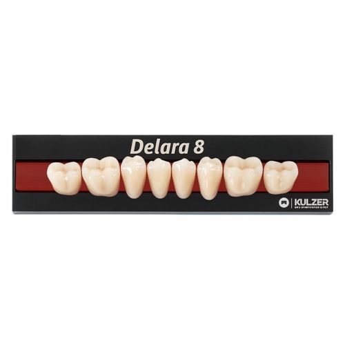 Dente Posterior Delara 34 - Kulzer