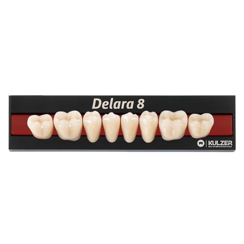 Dente Posterior Delara 36 - Kulzer