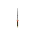 Lima Rotatória Protaper Maillefer 21mm - Dentsply-1764857532487