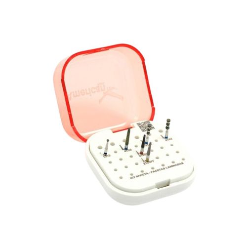 Kit Ponta Diamantada Invicta - American Burrs