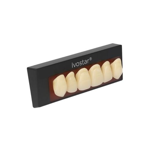 Dente Anterior Superior Ivostar A - Ivoclar